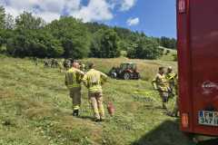 IMG-20250617-WA0020