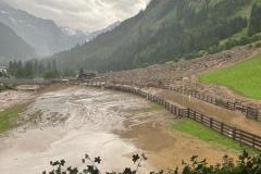 IMG-20250701-WA0001