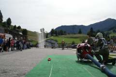 SONY DSC